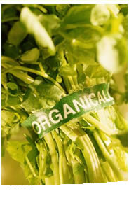 Organic Business